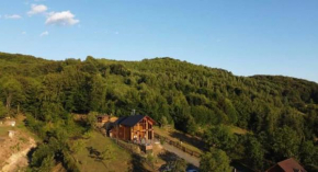 Bravak One, Baia Mare
